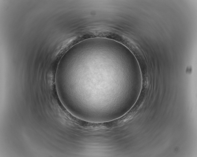 X0000090431108200707272125