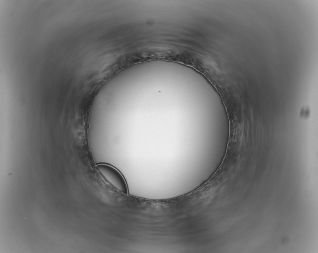 X0000090431109200707272125