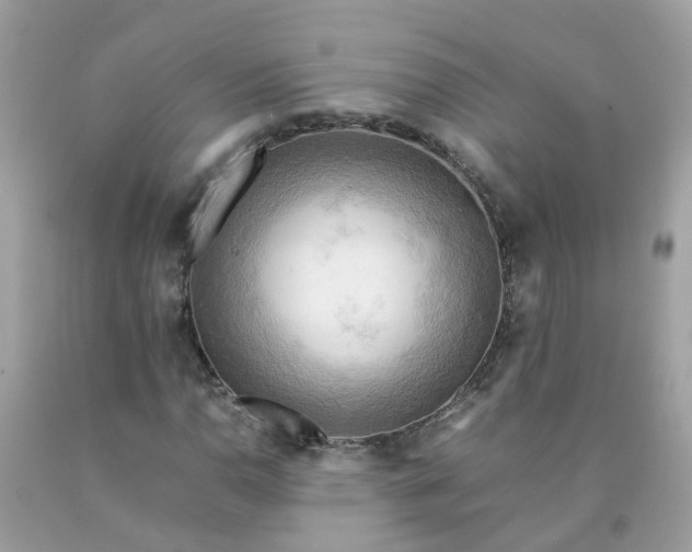 X0000090431110200707272125