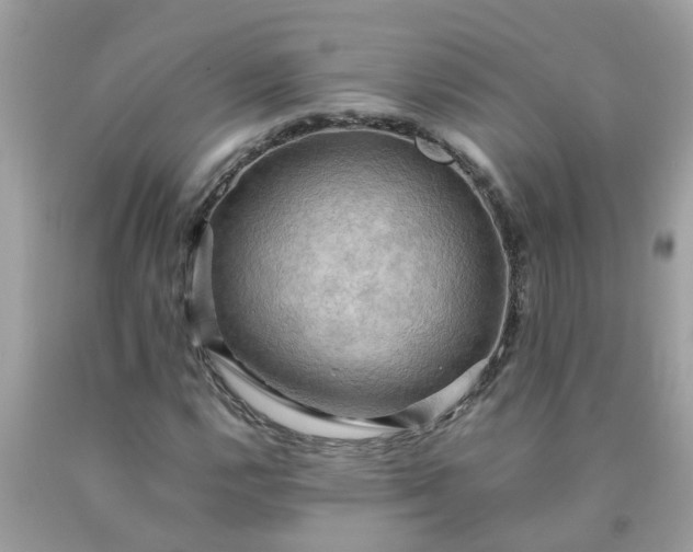 X0000090431112200707272125