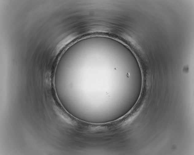 X0000090431113200707272125