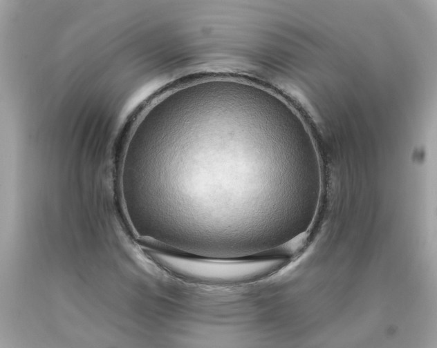 X0000090431114200707272125