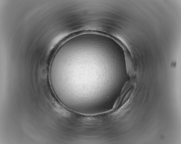 X0000090431115200707272125