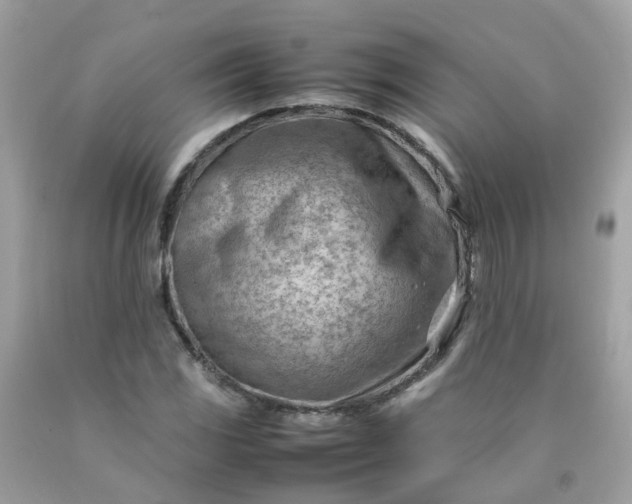 X0000090431117200707272125