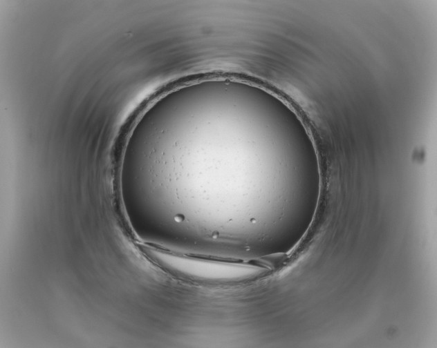 X0000090431118200707272125