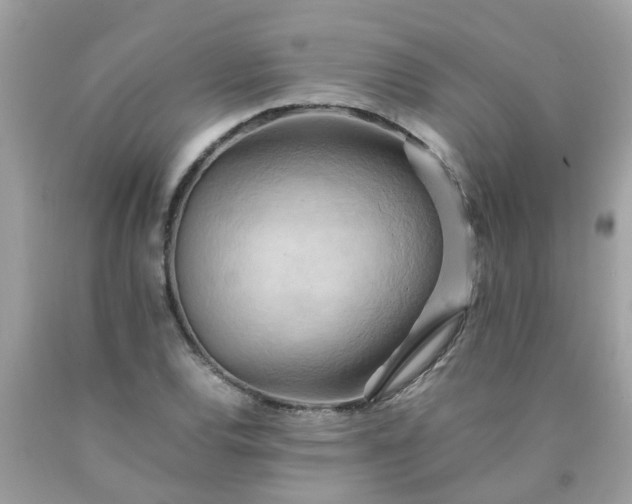 X0000090431120200707272125