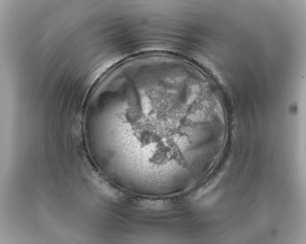 X0000090431121200707272125