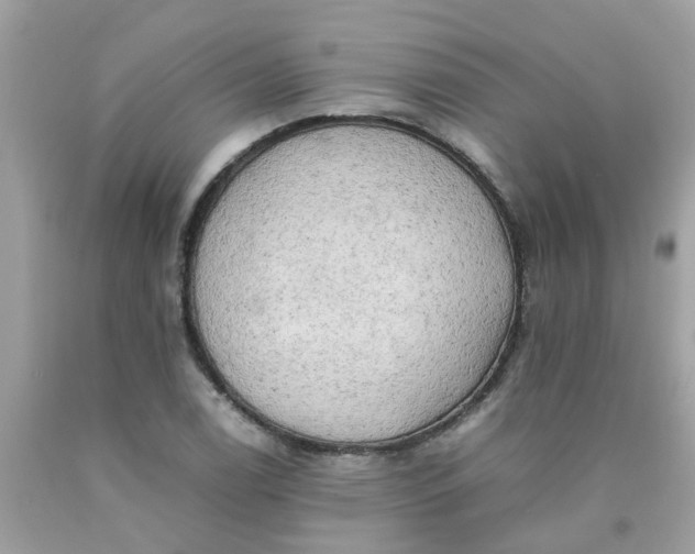 X0000090431122200707272125