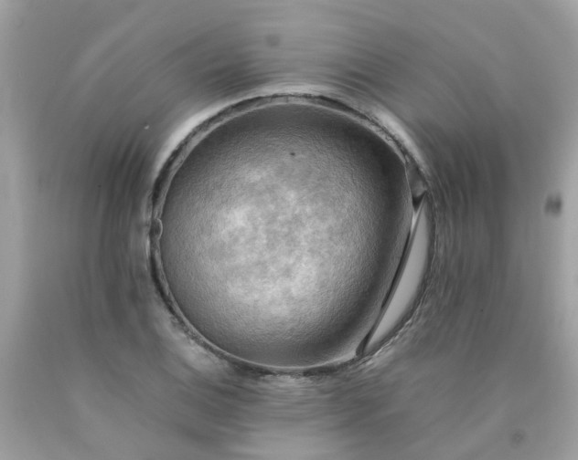 X0000090431124200707272125