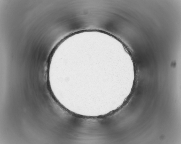 X0000090431126200707272125