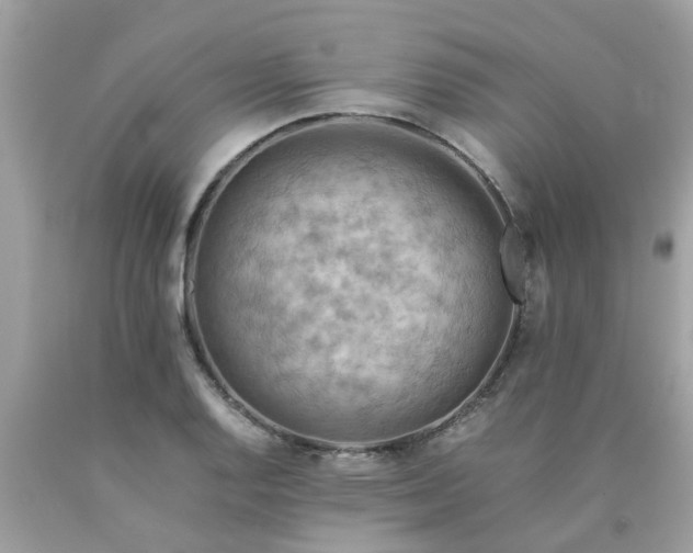 X0000090431128200707272125