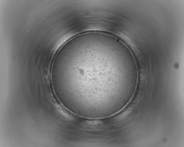 X0000090431129200707272125