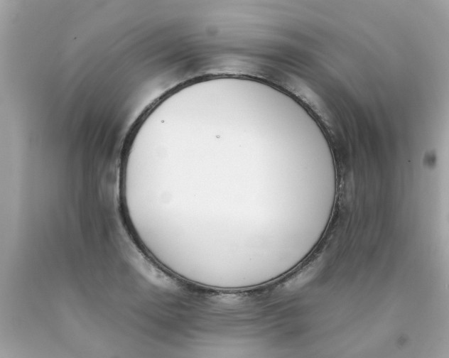 X0000090431130200707272125