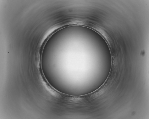 X0000090431131200707272125