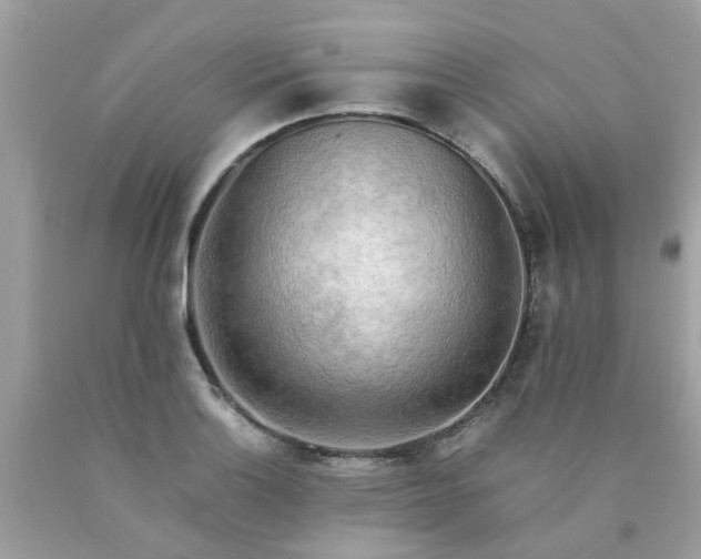 X0000090431132200707272125