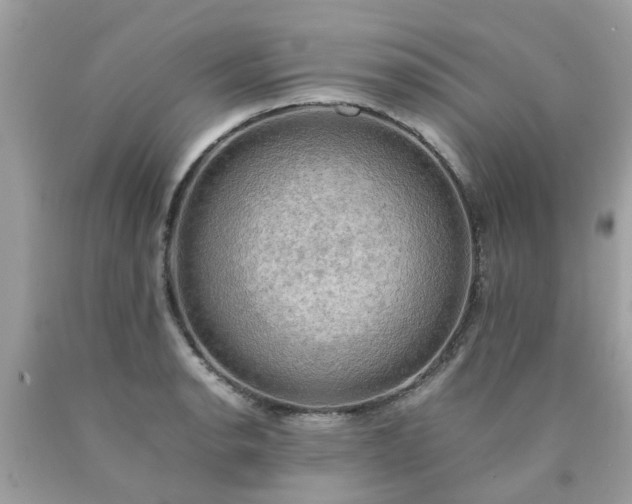 X0000090431134200707272125