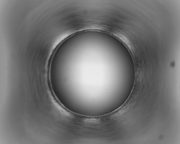 X0000090431135200707272126