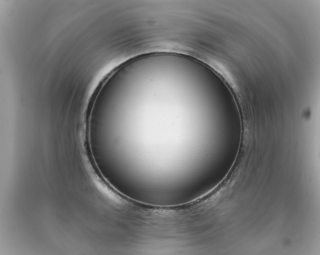 X0000090431136200707272126