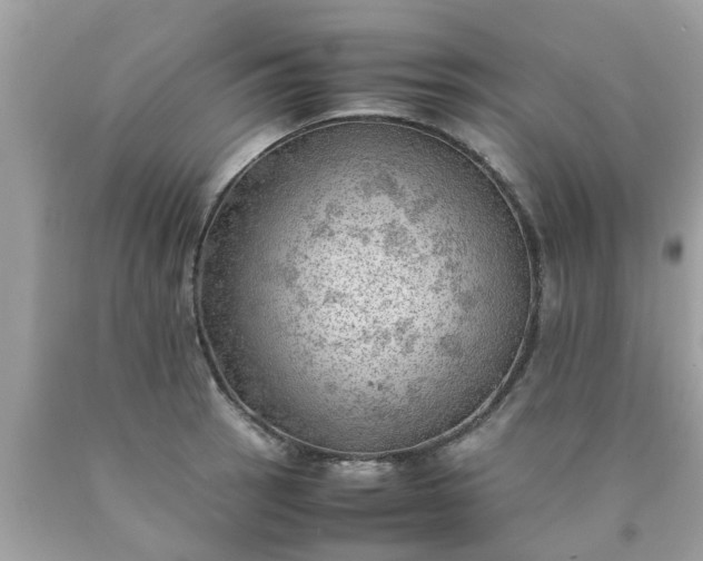 X0000090431137200707272126