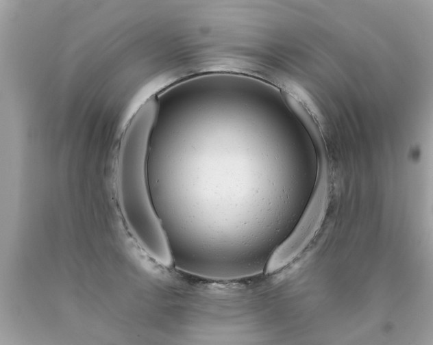 X0000090431138200707272126