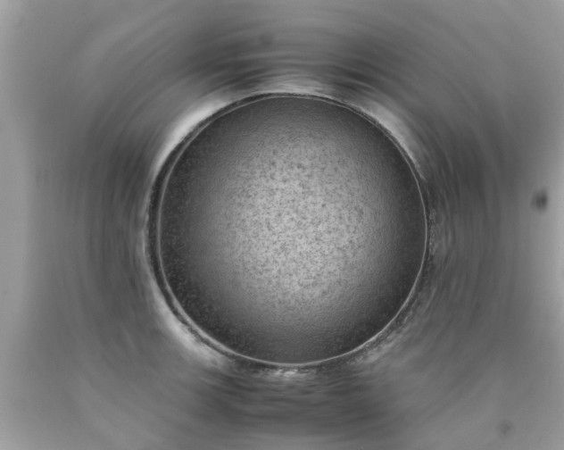 X0000090431139200707272126