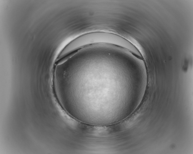 X0000090431144200707272126