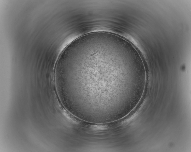 X0000090431145200707272126