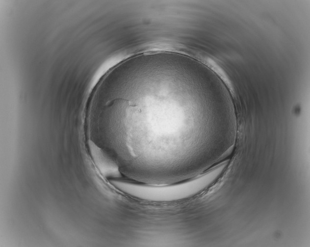 X0000090431146200707272126