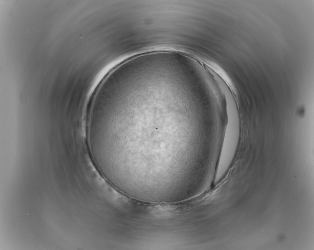 X0000090431148200707272126