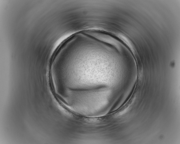 X0000090431149200707272126