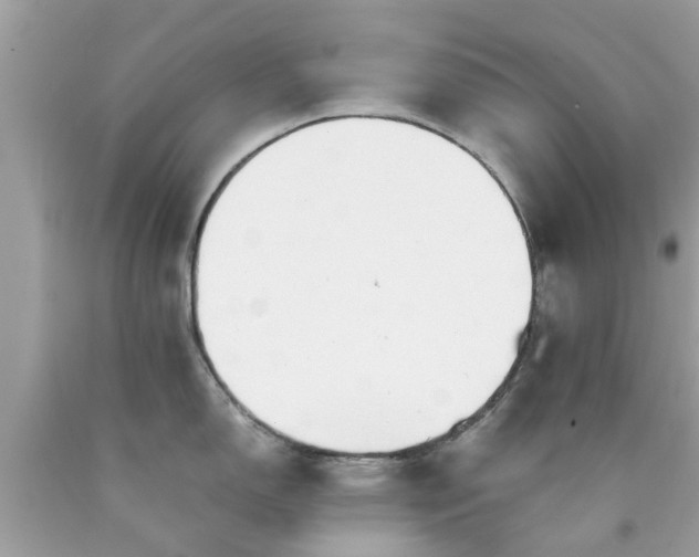 X0000090431150200707272126