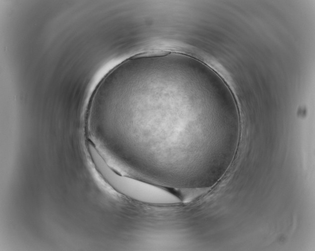 X0000090431152200707272126