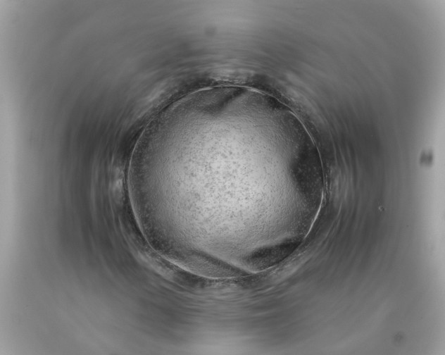 X0000090431154200707272125