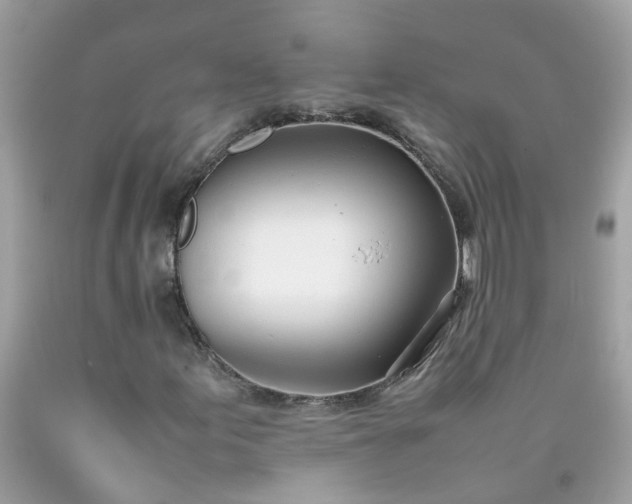 X0000090431155200707272125