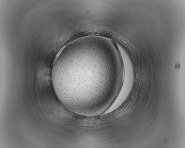 X0000090431156200707272125