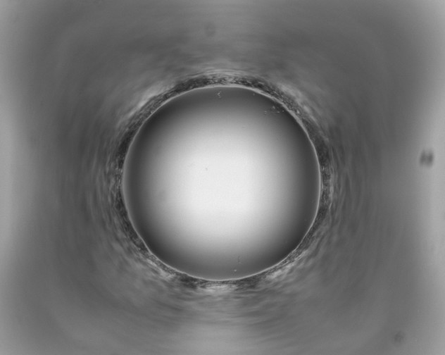 X0000090431157200707272125