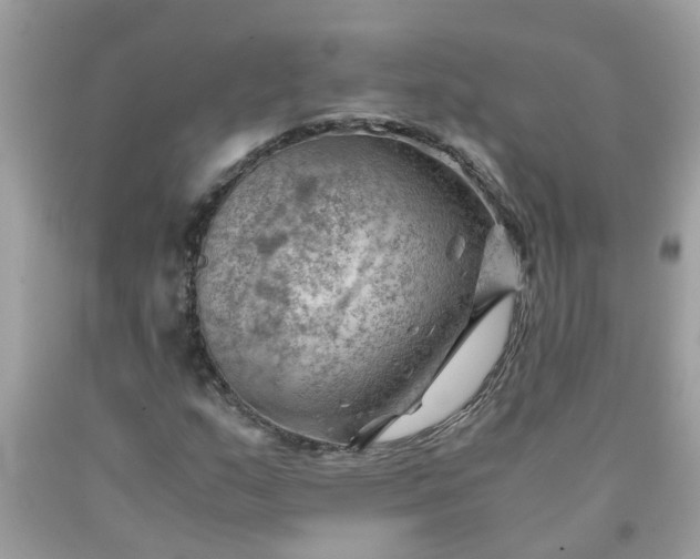 X0000090431159200707272125