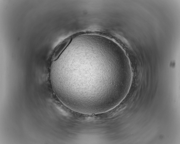 X0000090431160200707272125