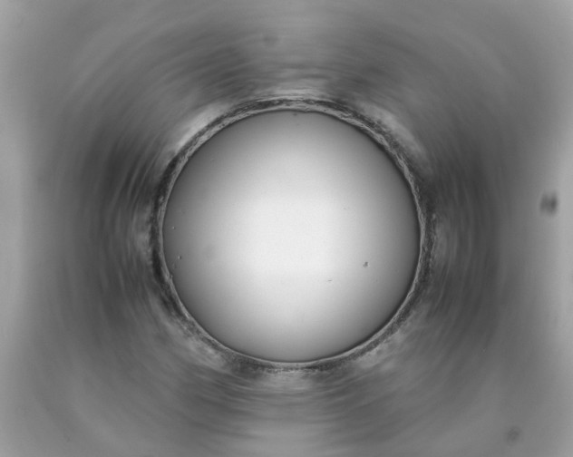 X0000090431162200707272125