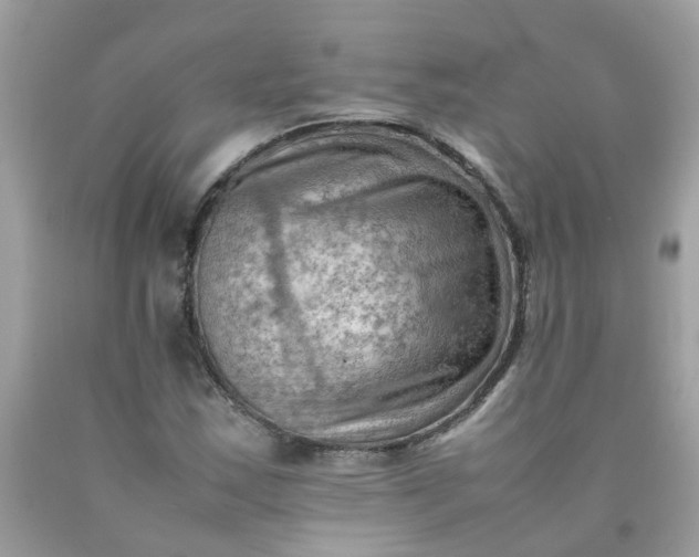 X0000090431163200707272125