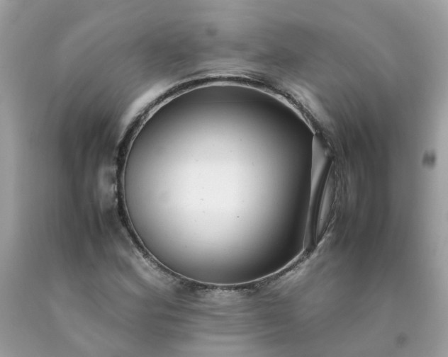 X0000090431164200707272125