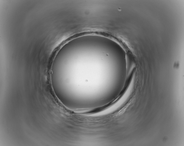 X0000090431165200707272125