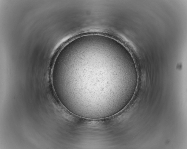 X0000090431166200707272125