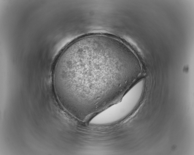 X0000090431167200707272125