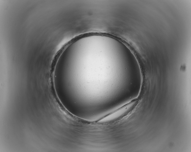 X0000090431168200707272125