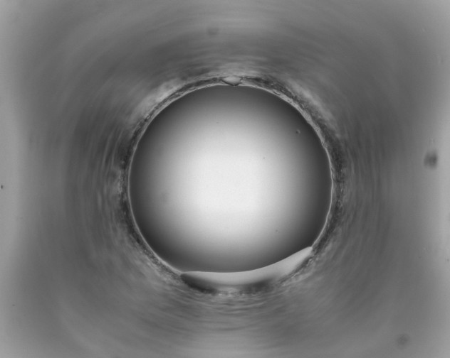 X0000090431169200707272125