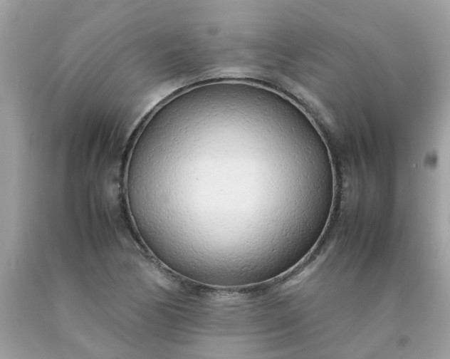 X0000090431170200707272125