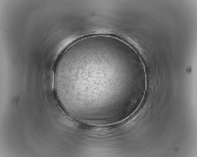 X0000090431171200707272125