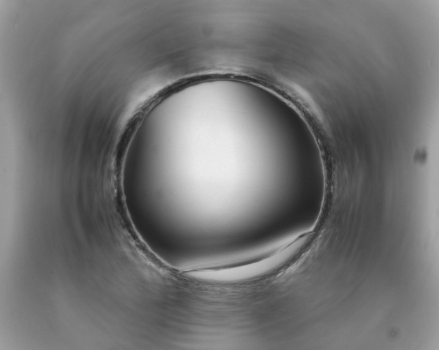 X0000090431172200707272125