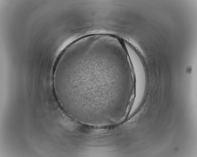 X0000090431173200707272125